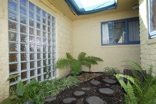 Fernery (2006-05-16)