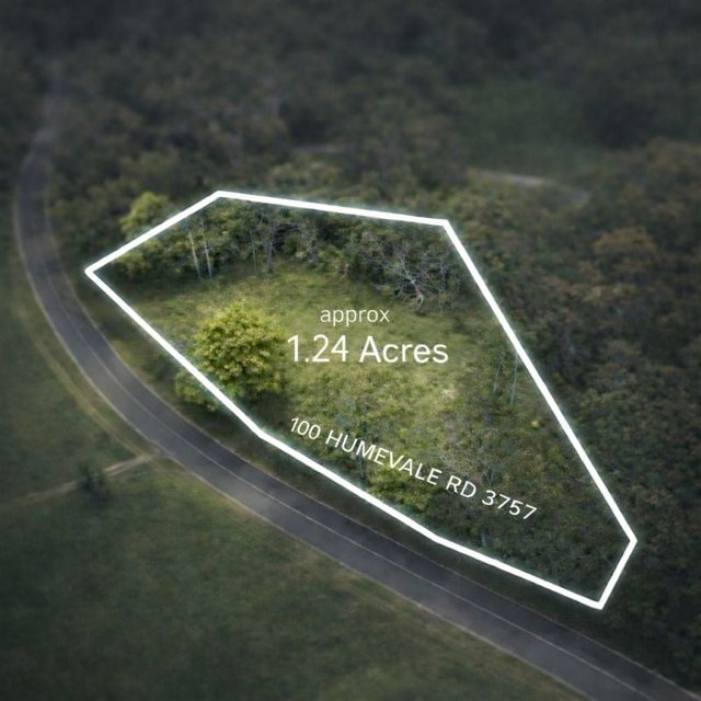 100 Humevale Rd, VIC 3757