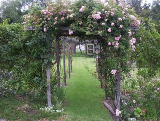 Flower Arch