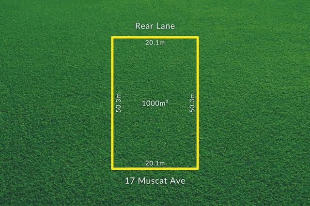 17 Muscat Avenue, SA 5343