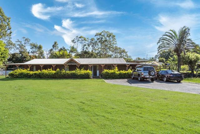 31 Kadlunga Ct, QLD 4124