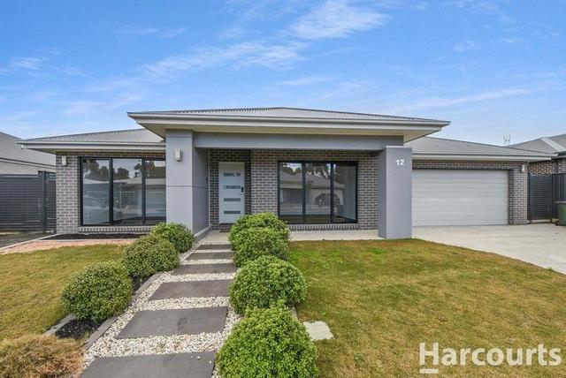 12 Seater Close, VIC 3400