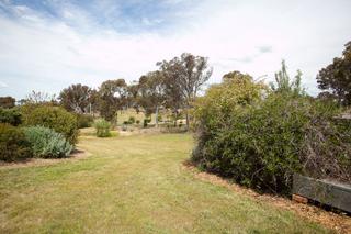 Backyard (2013-01-30)