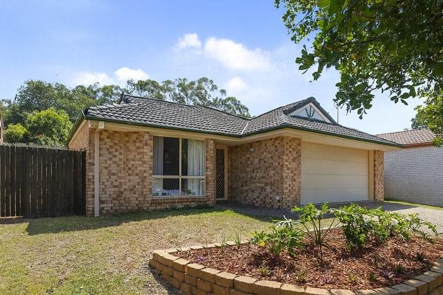 29 Satinwood Place, QLD 4557