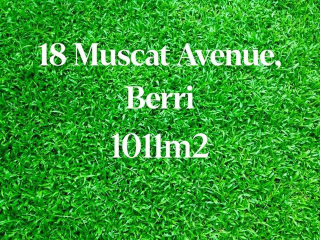18 Muscat Avenue, SA 5343