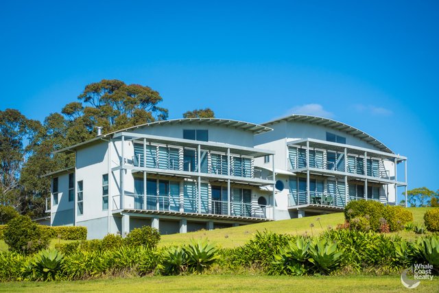 16 Treetops Street, NSW 2546