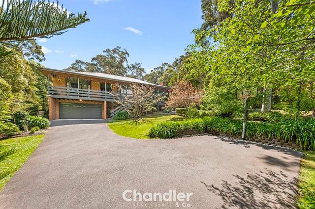 81 Forest Park Road, VIC 3158