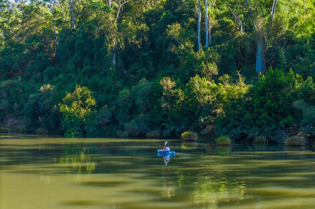 1052 Pipeclay Road, NSW 2446