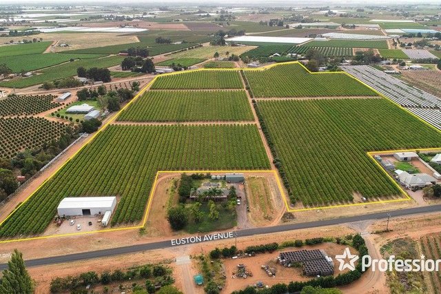 405 Euston Avenue, VIC 3496