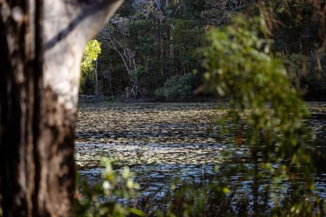 29 Marylands Close, NSW 2430