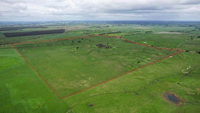 731 Framlingham-Garvoc Road, VIC 3265