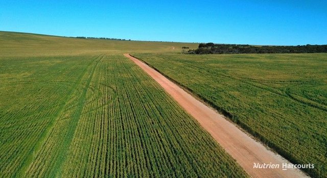 6062 Coorow-Green Head Road, WA 6518