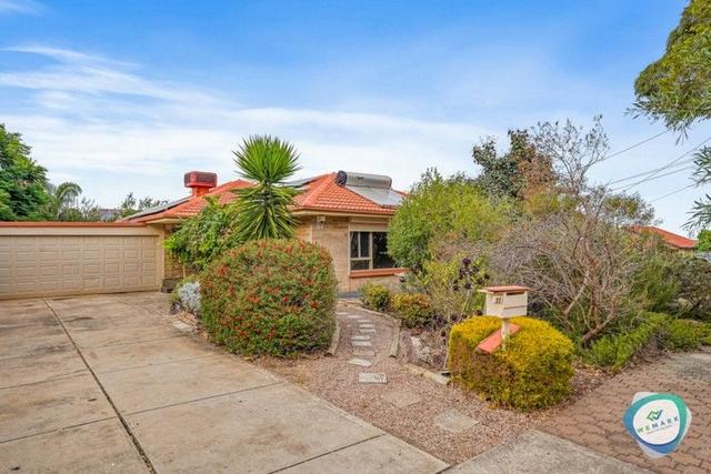 11 Rodney  Avenue, SA 5098