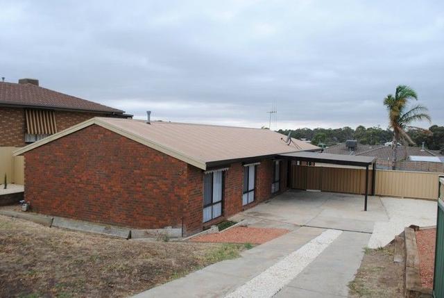 3 Ghost Gums  Boulevarde, VIC 3465