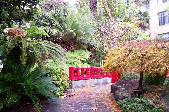 41/1 Amherst Street, NSW 2062