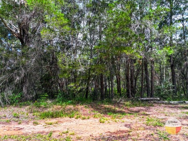 31 Catamaran Street, QLD 4184