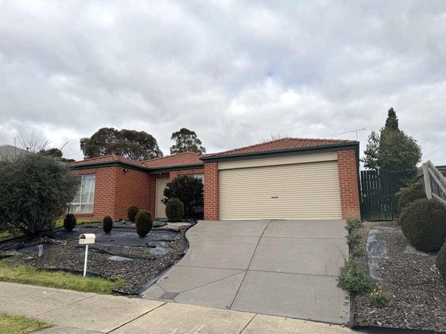 23 College Avenue, VIC 3844
