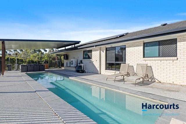 1 Farrow Close, QLD 4514