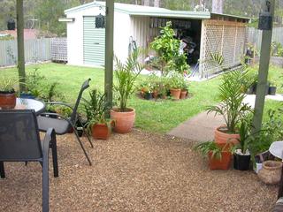 Backyard (2004-11-11)