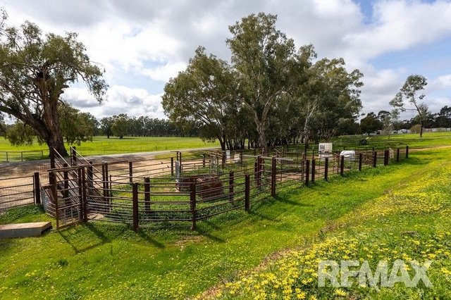 192 Roach Road, NSW 2650