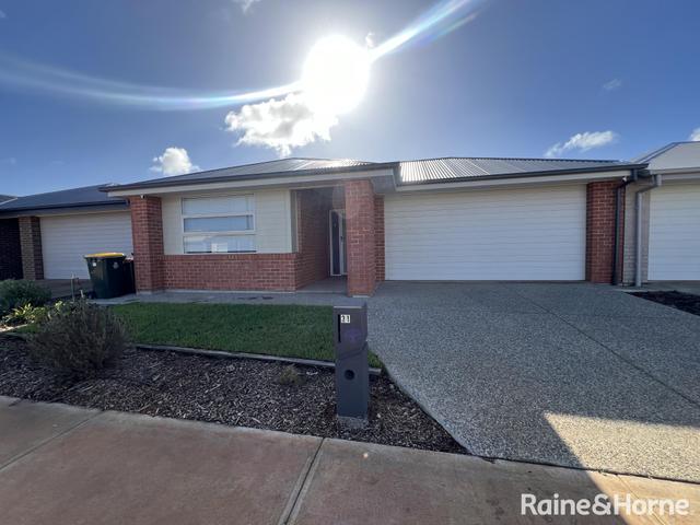 31 Cyclops Street, SA 5115