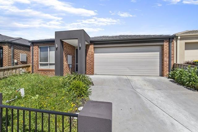 43 Arlington Avenue, VIC 3810