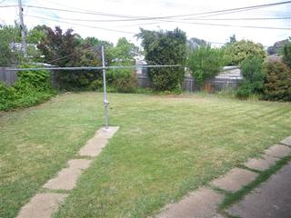 Backyard (2017-02-09)