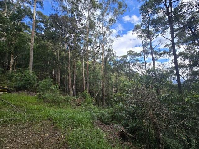 Lot/302 Kennaicle Creek Rd, NSW 2449