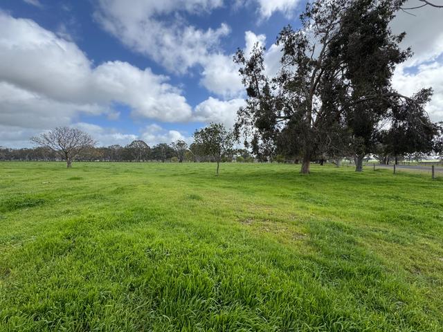 Lot 4 Hynam Caves Road, SA 5262