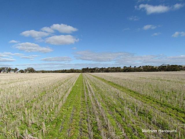 . Lot 100 Carnamah - Perenjori Road, WA 6517