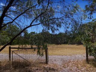 View North of Front Paddock