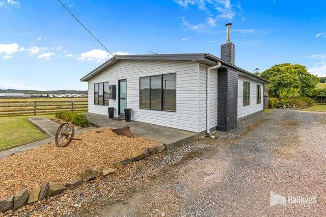 99 Stanley Street South, TAS 7307