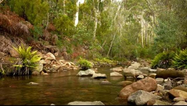 (no street name provided), TAS 7140