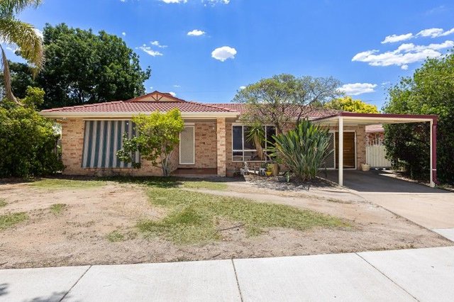 65 Dalman Parkway, NSW 2650
