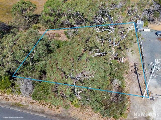 28 Howard Street, TAS 7254