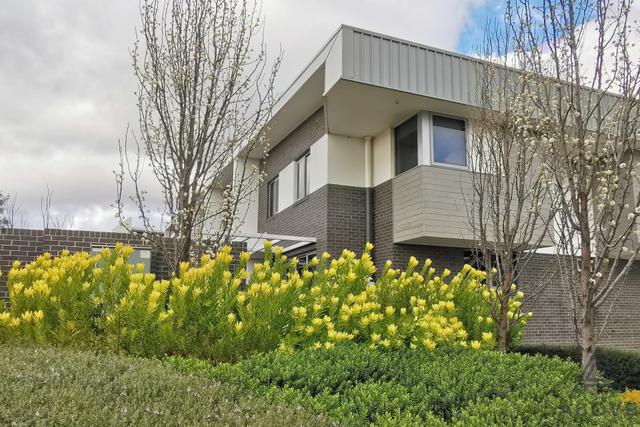 8/5 Nevertire Street, ACT 2617