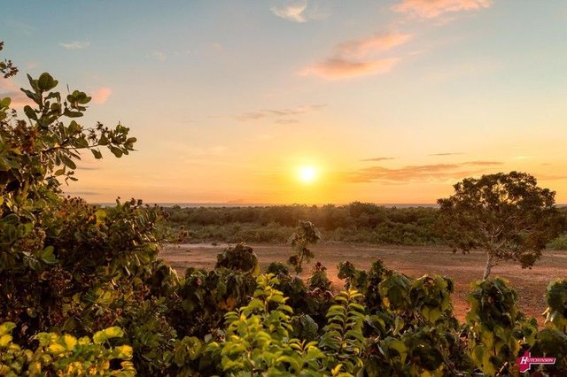 Lot 103 Lawrence Road, WA 6725