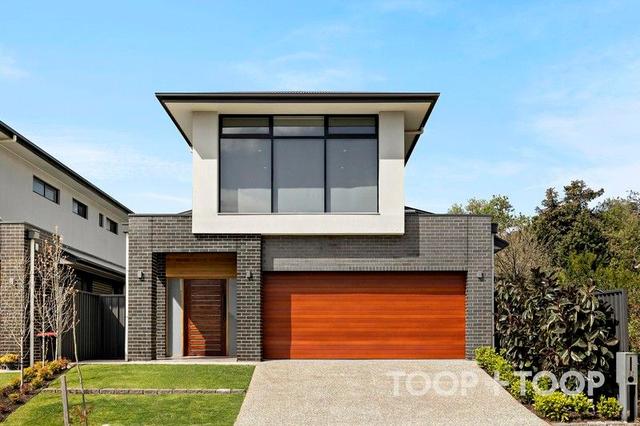 12 Brook Avenue, SA 5064
