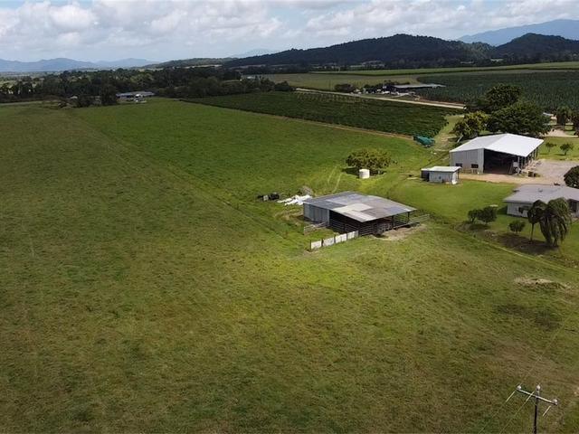 000 Gangemi Road, QLD 4871