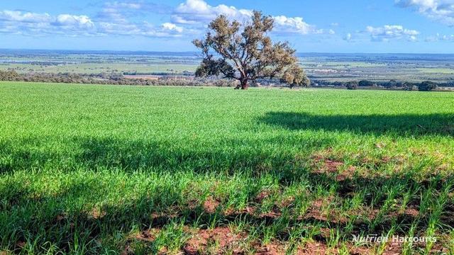 5428 Brand Highway, Boonanarring, WA 6503