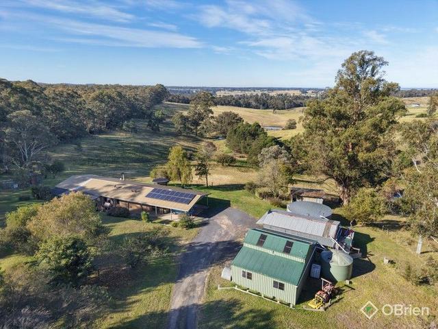 20 Holes Road, VIC 3875