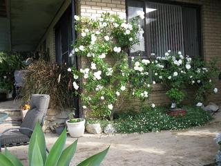 Main (2011-06-20)