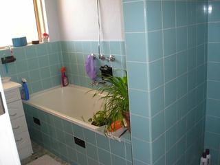 Bathroom (2006-04-03)
