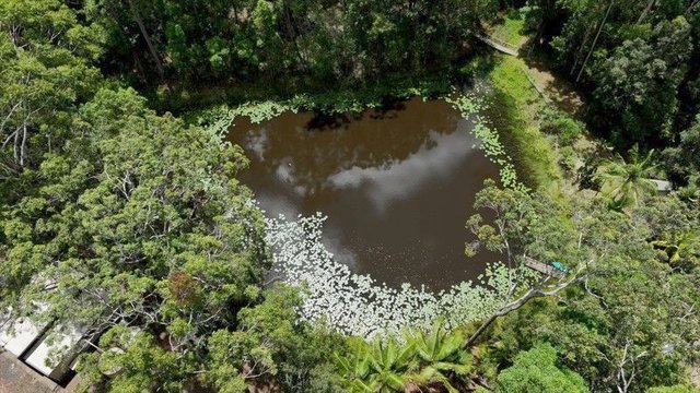 272 Ringtail Creek Road, QLD 4565