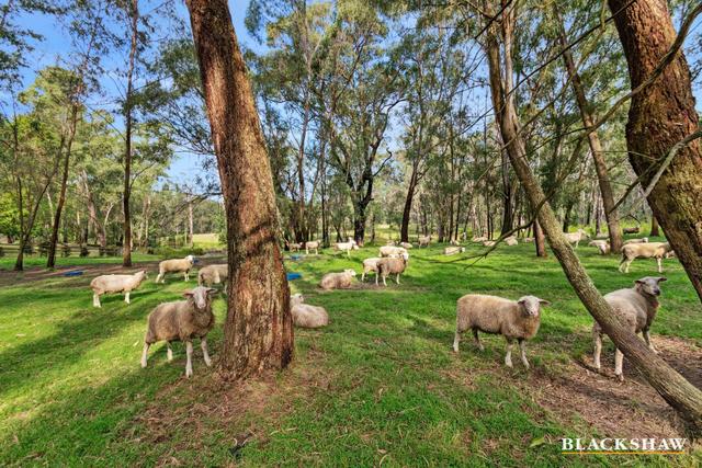 1199 Princes Highway, NSW 2536