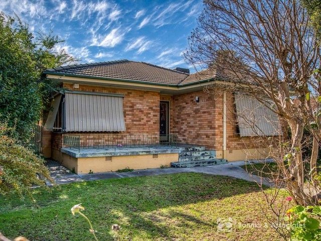 484 McDonald Road, NSW 2641