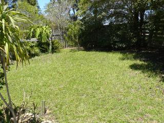 Backyard (2010-02-25)