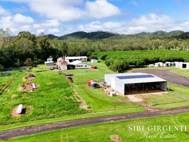 1004 Bilwon Road, QLD 4880