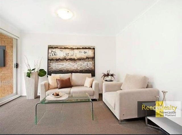 65 Willandra Crescent, NSW 2306