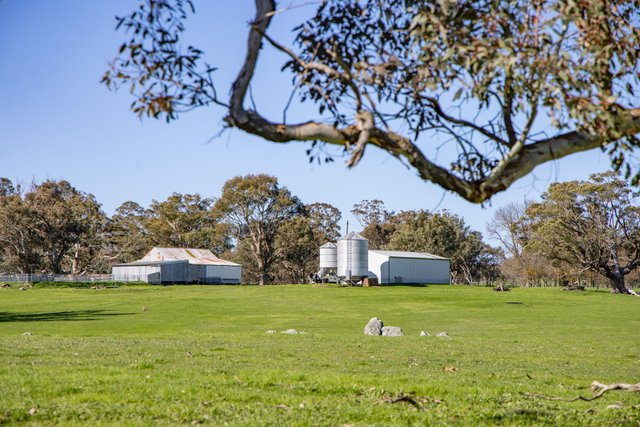 "Cottage Farm" 1001 Cooks Hill Road, NSW 2582